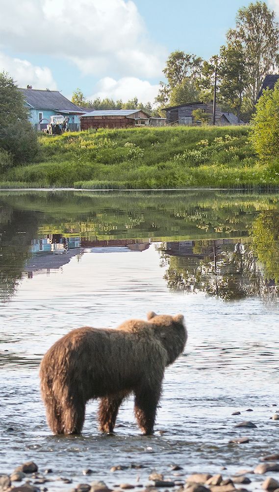 Стоковая фотография